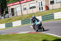 cadwell-no-limits-trackday;cadwell-park;cadwell-park-photographs;cadwell-trackday-photographs;enduro-digital-images;event-digital-images;eventdigitalimages;no-limits-trackdays;peter-wileman-photography;racing-digital-images;trackday-digital-images;trackday-photos